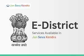E-District Services
