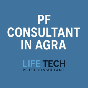 PF Consultant in Agra